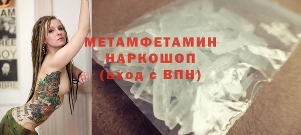 прущие грибы Вязники