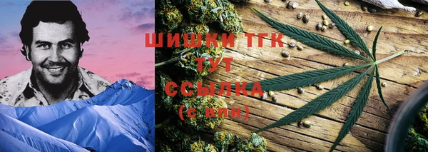 прущие грибы Вязники