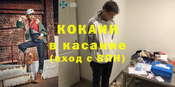 прущие грибы Вязники