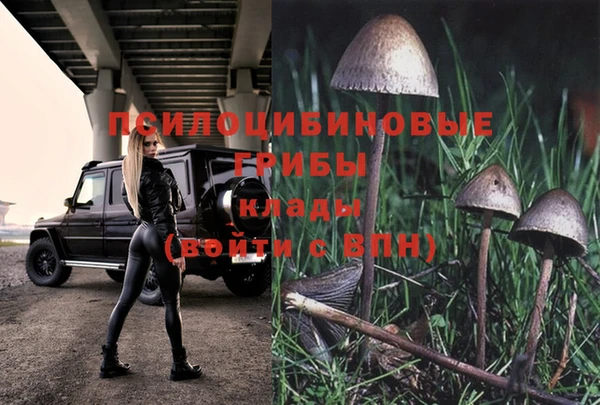 2c-b Вяземский